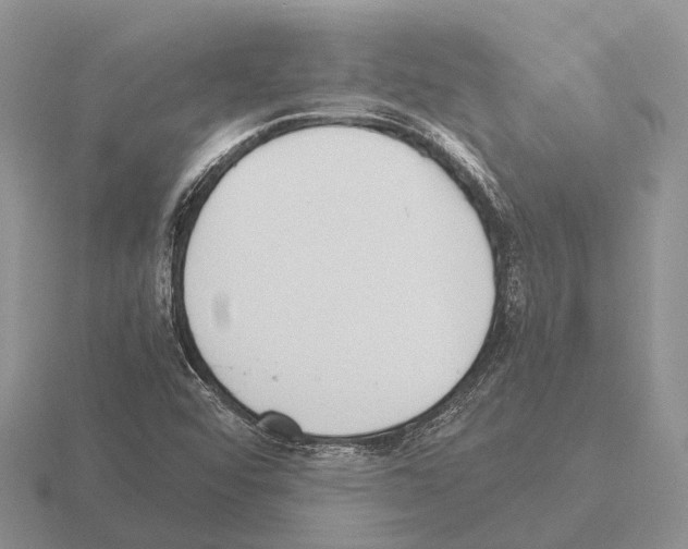 X0000115441456200912161444