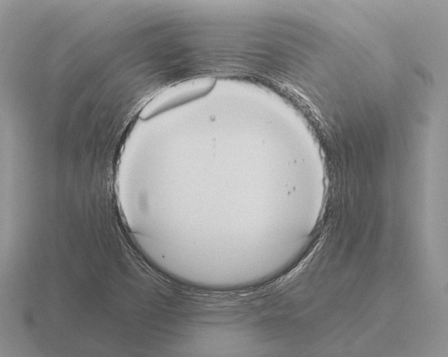 X0000115441457200912161444