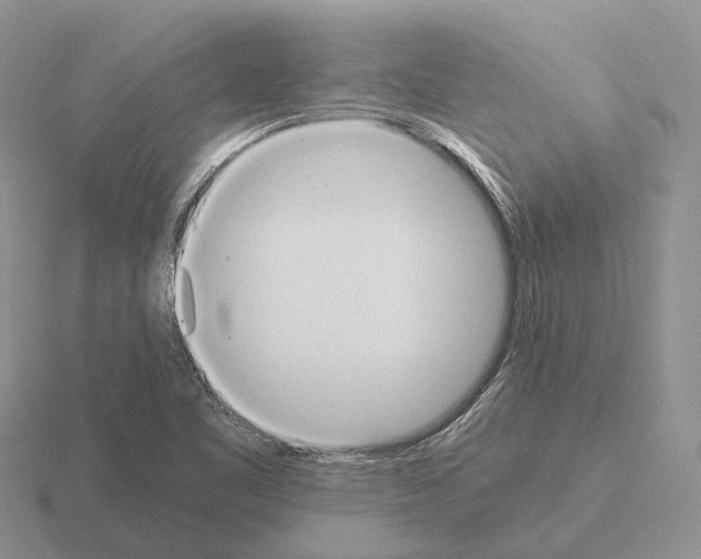 X0000115441461200912161444