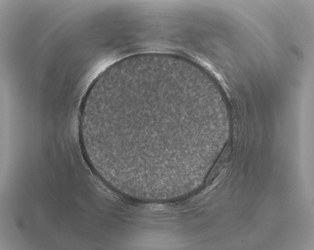 X0000115441463200912161444