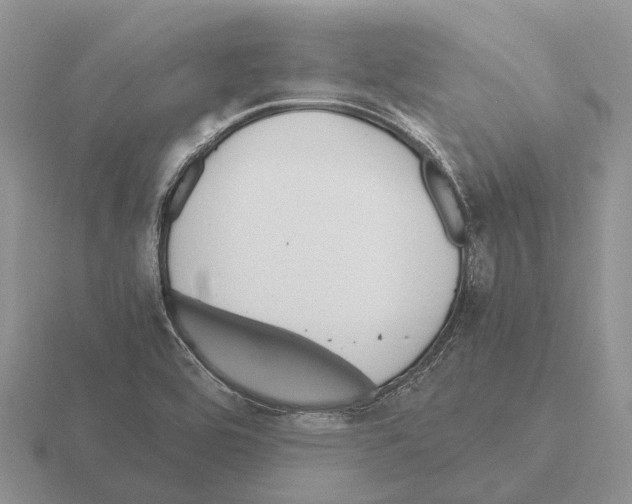 X0000115441464200912161444