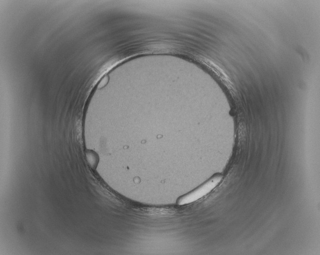 X0000115441465200912161444