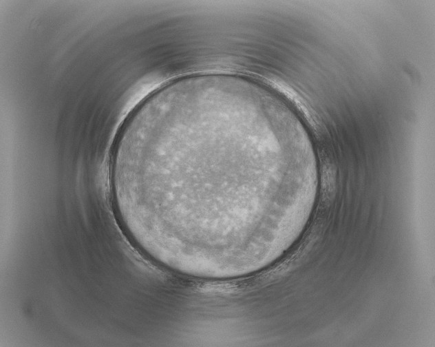 X0000115441466200912161444