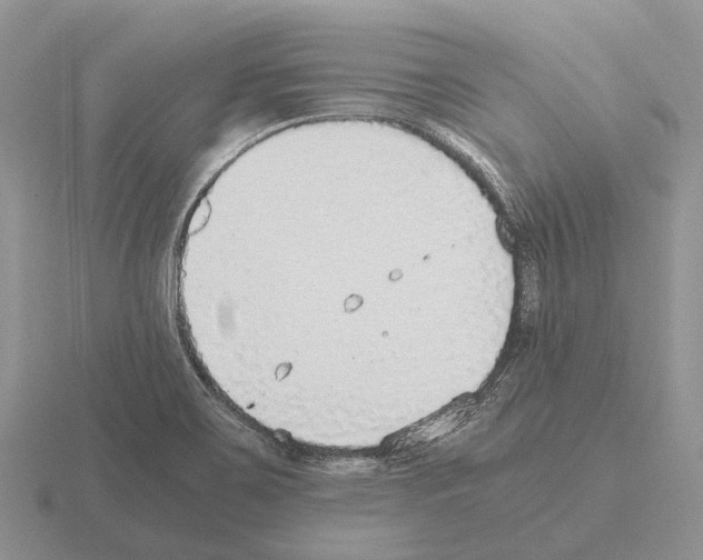 X0000115441467200912161444