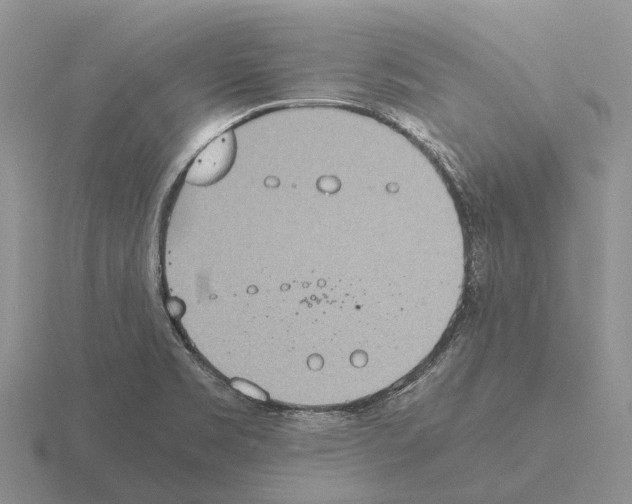 X0000115441469200912161444