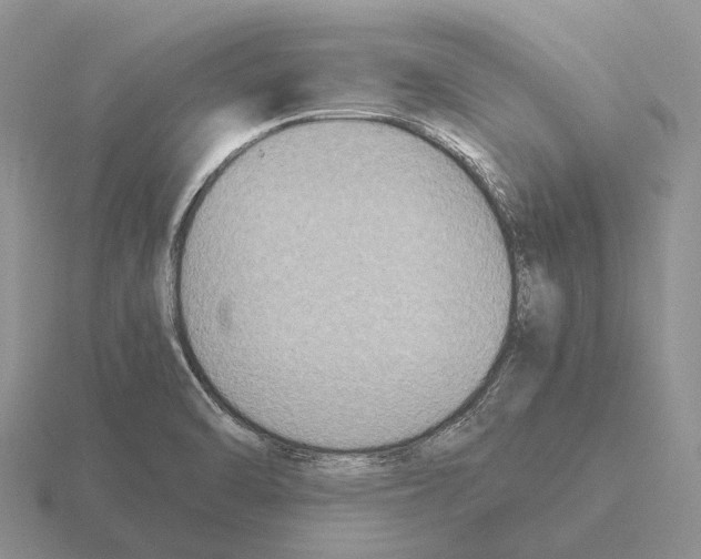 X0000115441470200912161444