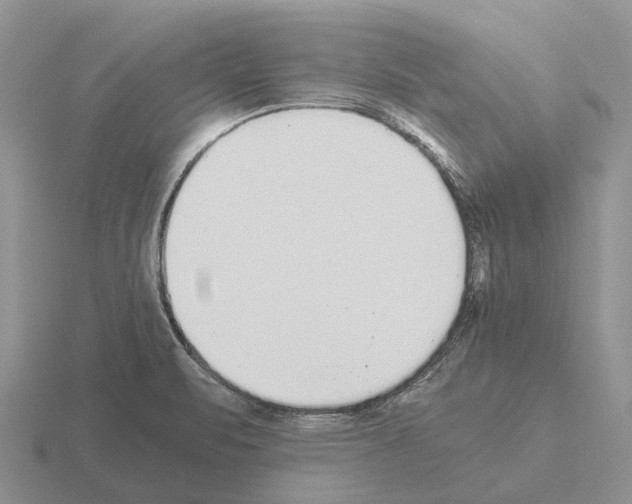 X0000115441471200912161444