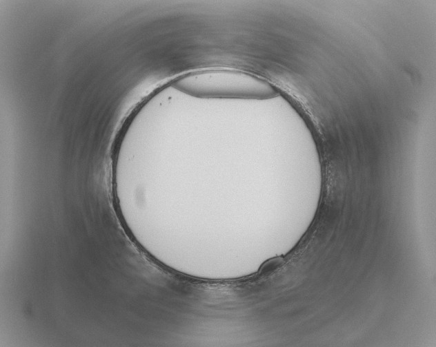 X0000115441472200912161444