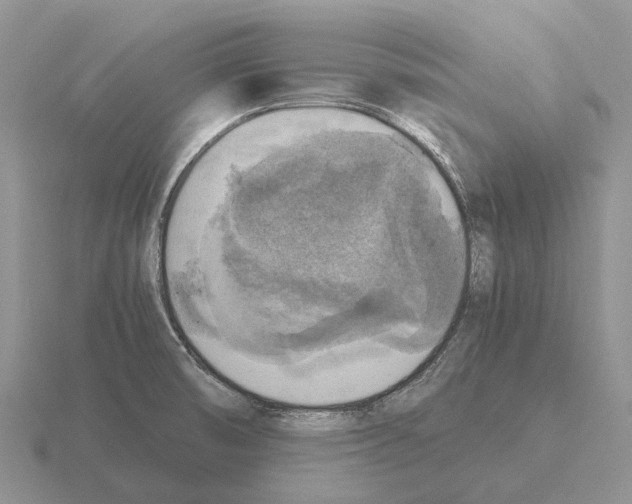 X0000115441474200912161444