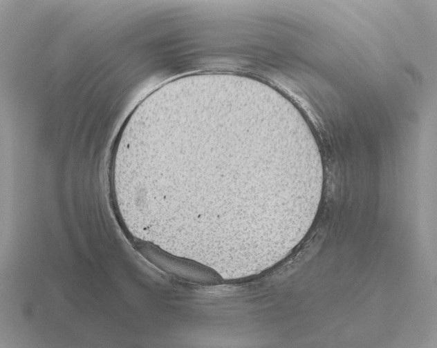 X0000115441475200912161444