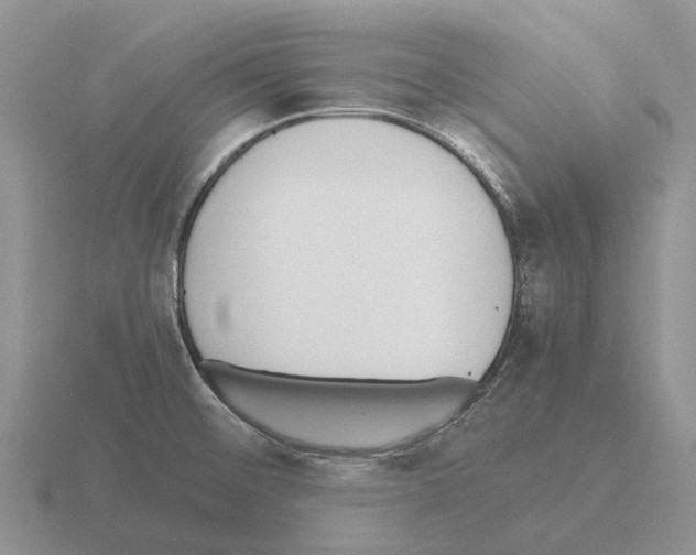 X0000115441476200912161444