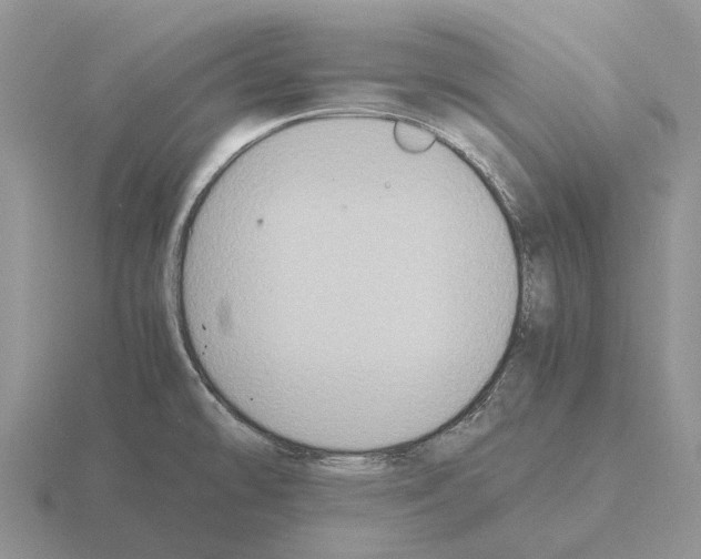 X0000115441478200912161444