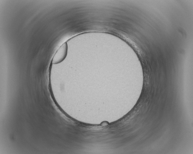 X0000115441479200912161444