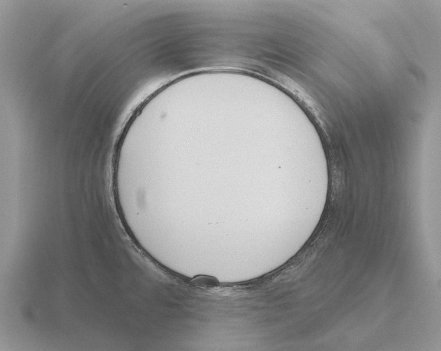 X0000115441480200912161444