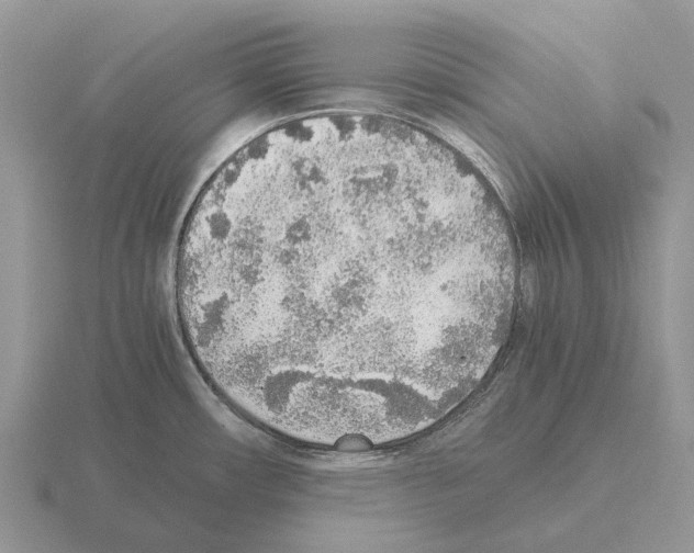 X0000115441482200912161444