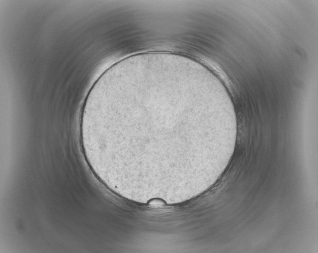 X0000115441483200912161444