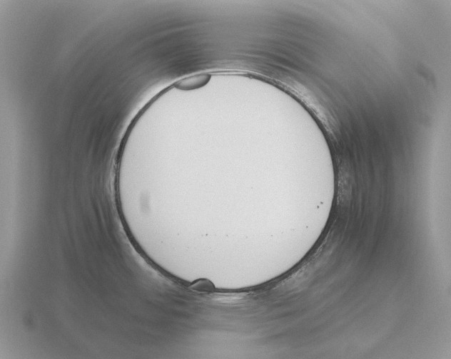 X0000115441484200912161444