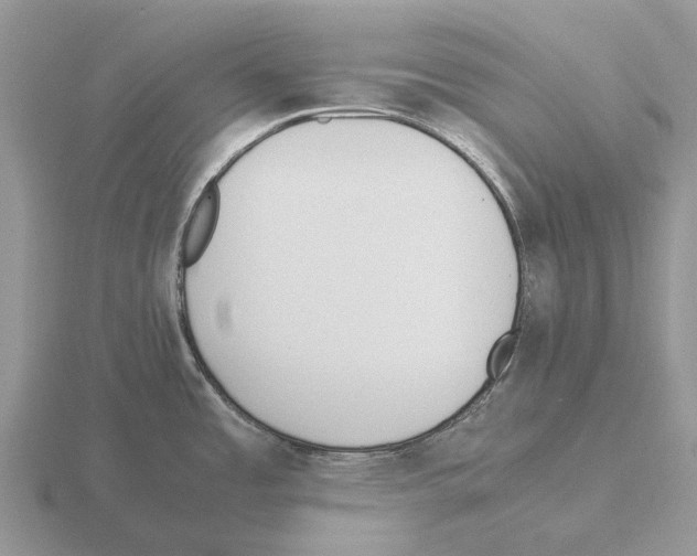 X0000115441485200912161444