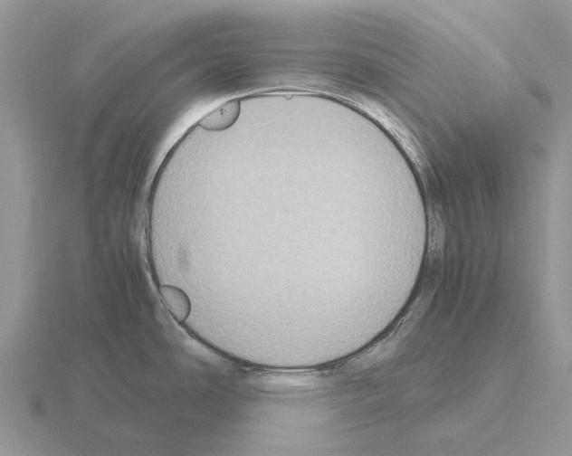 X0000115441486200912161444