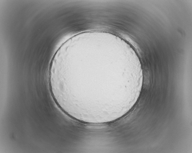 X0000115441487200912161444