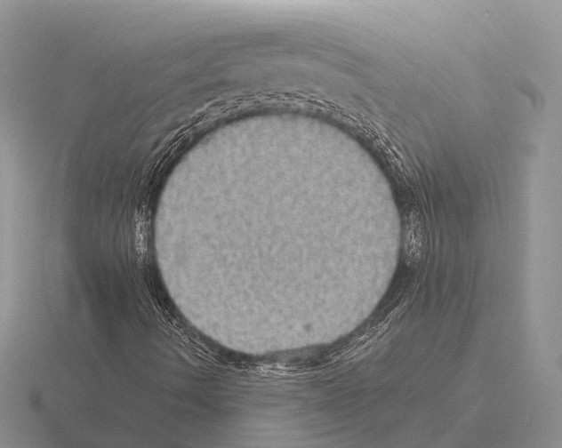 X0000115441490200912161443