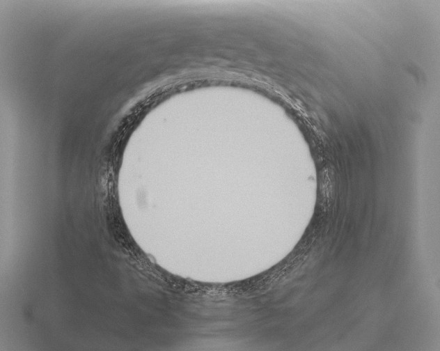 X0000115441495200912161443