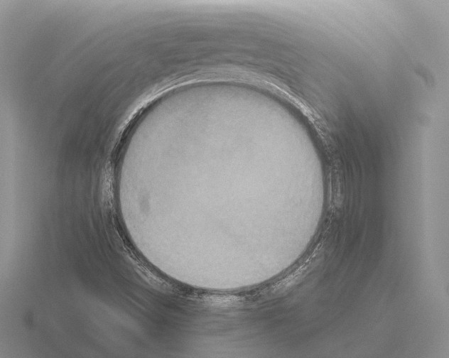 X0000115441498200912161443