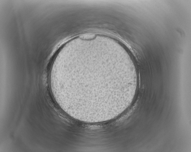 X0000115441501200912161444