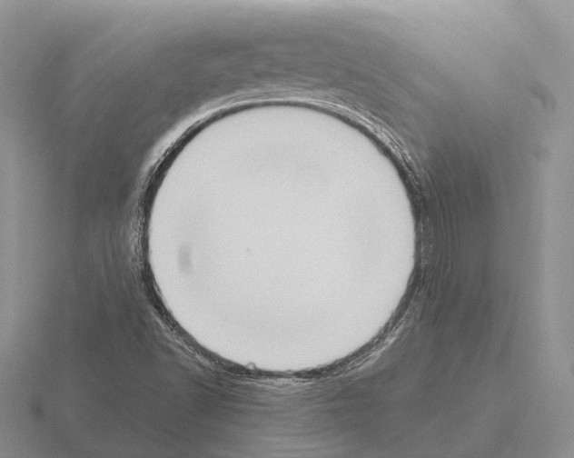 X0000115441502200912161444