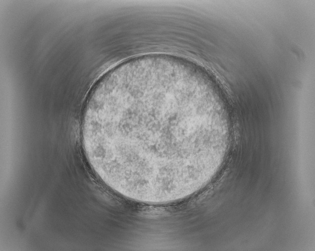 X0000115441505200912161444