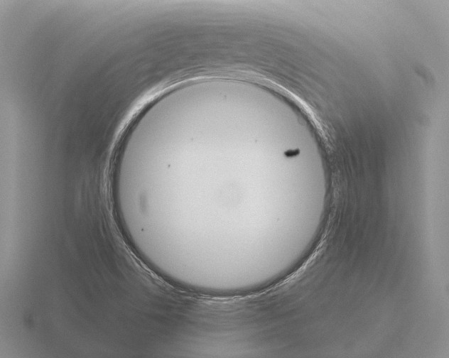 X0000115441506200912161444