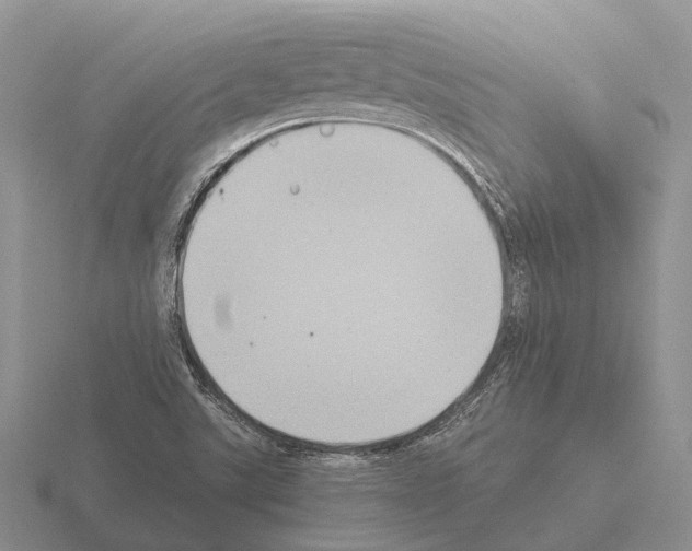 X0000115441507200912161444