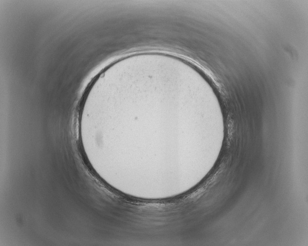 X0000115441510200912161444