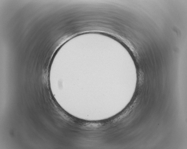 X0000115441513200912161444