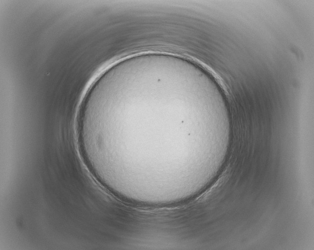 X0000115441514200912161444