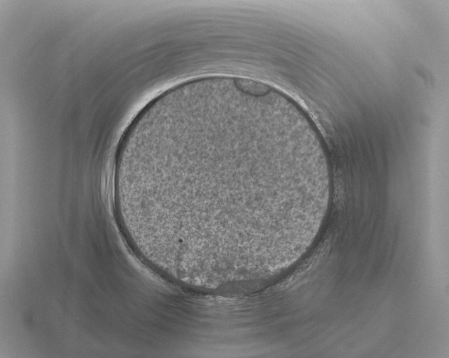 X0000115441515200912161444