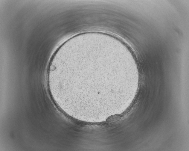 X0000115441517200912161444