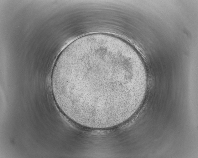 X0000115441521200912161444