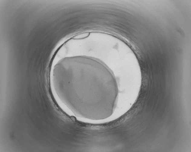 X0000115441522200912161444