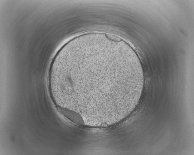 X0000115441523200912161444