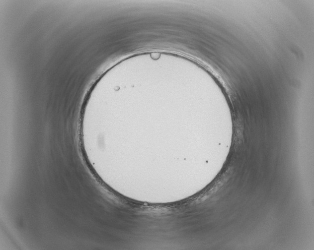 X0000115441525200912161444