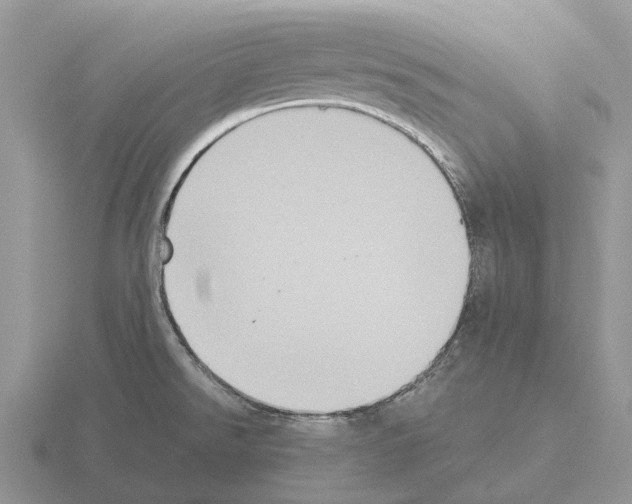 X0000115441526200912161444