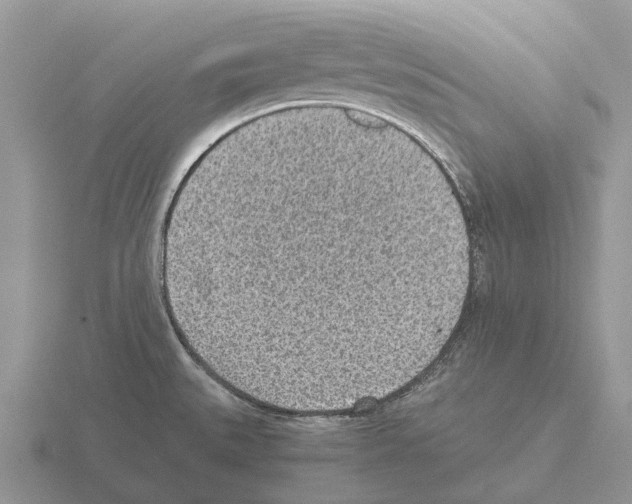 X0000115441527200912161444