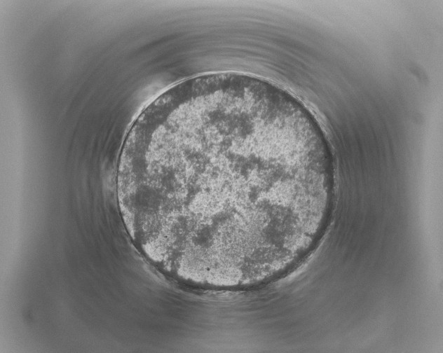 X0000115441529200912161444