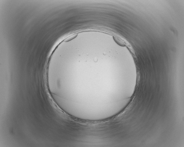 X0000115441530200912161444