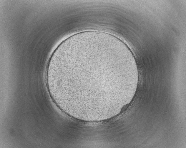 X0000115441531200912161444