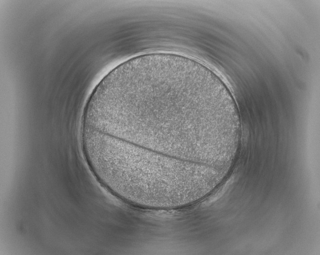 X0000115441533200912161444