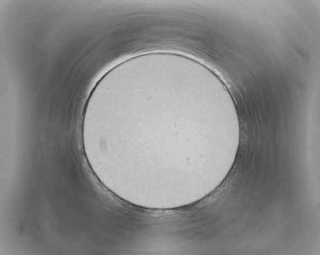 X0000115441534200912161444