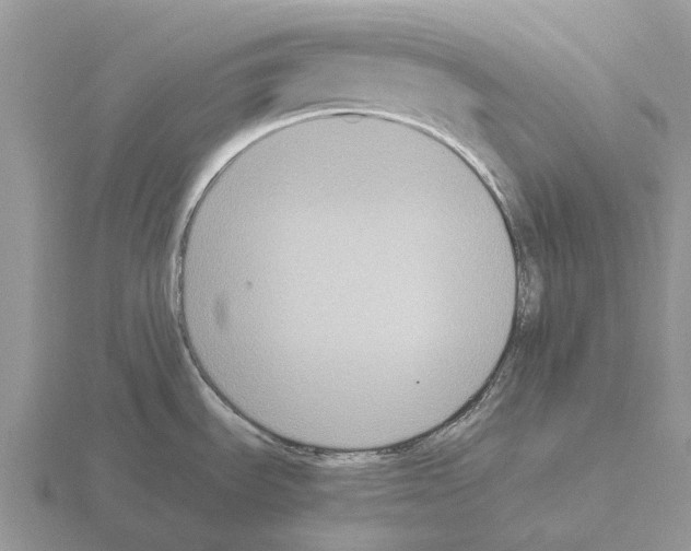 X0000115441535200912161444