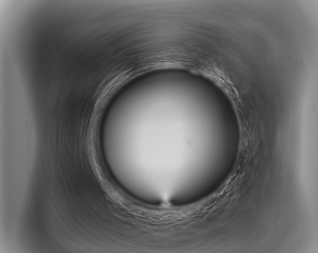 X0000115450001200911121203